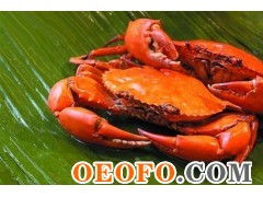 東港市黃海水產品批發市場利源海鮮批發商行 供應優質鮮活梭子蟹與飛蟹，物美價廉