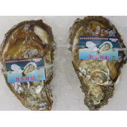 湛江市金屬材料貿易與日用百貨銷售行業的發展與前景