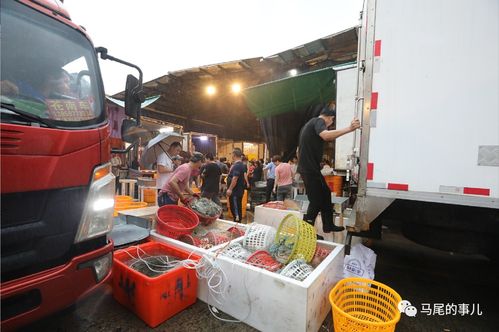 普惠金融推進月 活水涌向水產與百貨，農批貸精準紓困解難題