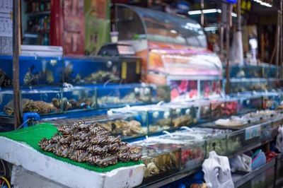 十萬“水軍”晝夜不息的傳奇謝幕 全國最大水產品批發(fā)市場的搬遷與日用百貨銷售的轉型