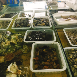 成都農產品中心批發(fā)市場海水產交易區(qū)信息指南