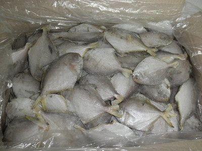 黑龍江水產品批發(fā)與加盟指南 聚焦哈爾濱暢達水產的產業(yè)優(yōu)勢