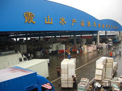 讓天下沒有難賣的魚蝦！探秘中國主要水產品批發(fā)市場