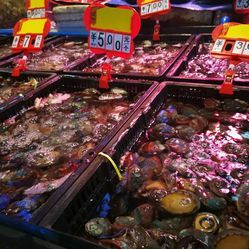 融合與創(chuàng)新 成都農產品中心批發(fā)市場海水產交易區(qū)的日用百貨銷售新業(yè)態(tài)