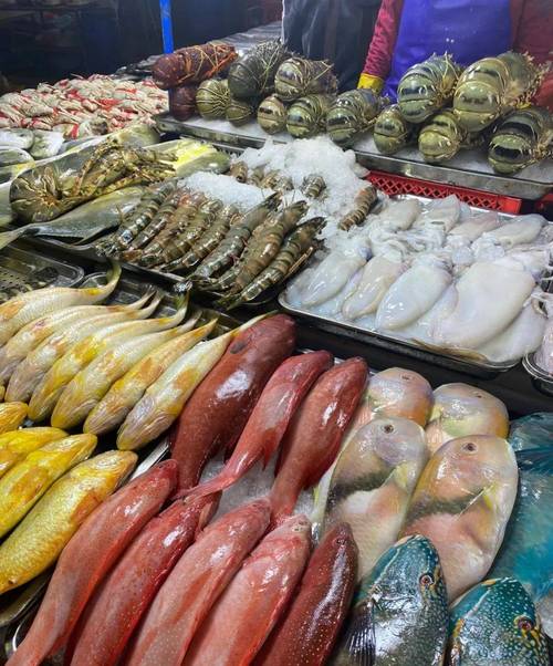 免租半年，搶占先機！博羅水西農貿綜合批發(fā)市場水產海鮮一級批發(fā)平臺盛裝啟幕