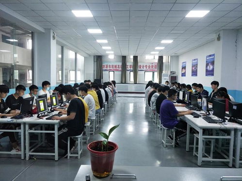 計算機網絡工程 計算機專業中最受歡迎的設計與施工領域